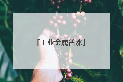 工业金属普涨