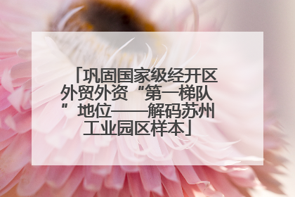 巩固国家级经开区外贸外资“第一梯队”地位——解码苏州工业园区样本