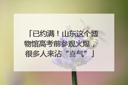 已约满！山东这个博物馆高考前参观火爆，很多人来沾“喜气”