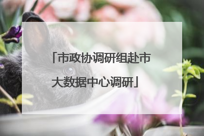 市政协调研组赴市大数据中心调研