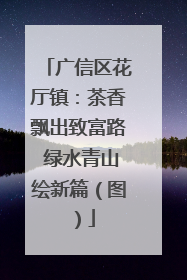 广信区花厅镇：茶香飘出致富路 绿水青山绘新篇（图）