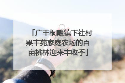 广丰桐畈镇下社村果丰苑家庭农场的百亩桃林迎来丰收季