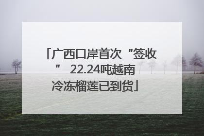 广西口岸首次“签收” 22.24吨越南冷冻榴莲已到货