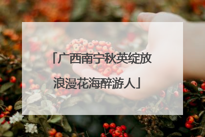 广西南宁秋英绽放 浪漫花海醉游人