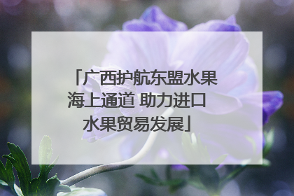 广西护航东盟水果海上通道 助力进口水果贸易发展
