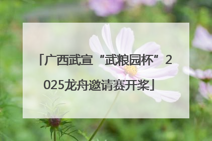 广西武宣“武粮园杯”2025龙舟邀请赛开桨