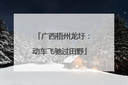 广西梧州龙圩：动车飞驰过田野