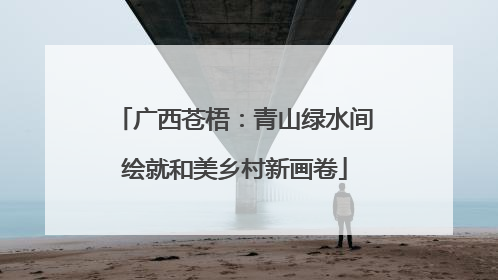 广西苍梧：青山绿水间绘就和美乡村新画卷