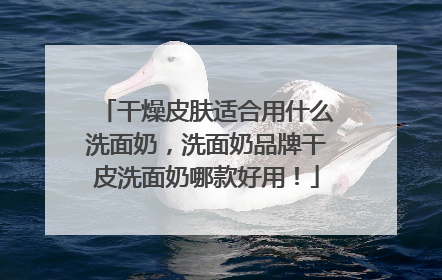 干燥皮肤适合用什么洗面奶，洗面奶品牌干皮洗面奶哪款好用！