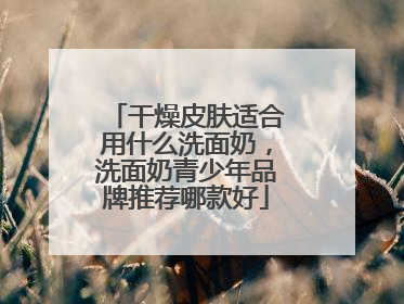干燥皮肤适合用什么洗面奶，洗面奶青少年品牌推荐哪款好
