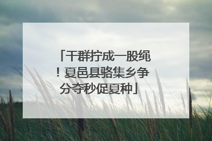 干群拧成一股绳！夏邑县骆集乡争分夺秒促夏种