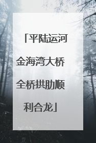 平陆运河金海湾大桥全桥拱肋顺利合龙