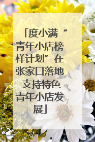 度小满“青年小店榜样计划”在张家口落地 支持特色青年小店发展