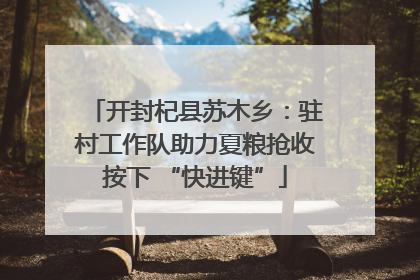 开封杞县苏木乡：驻村工作队助力夏粮抢收按下 “快进键”