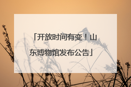 开放时间有变！山东博物馆发布公告