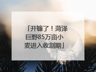 开镰了！菏泽巨野85万亩小麦进入收割期