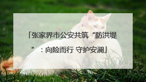 张家界市公安共筑“防洪堤”：向险而行 守护安澜