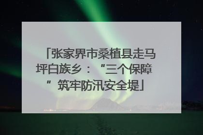 张家界市桑植县走马坪白族乡：“三个保障”筑牢防汛安全堤