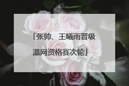 张帅、王曦雨晋级温网资格赛次轮
