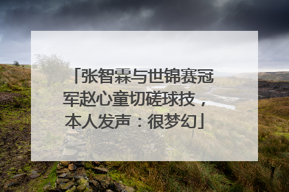 张智霖与世锦赛冠军赵心童切磋球技，本人发声：很梦幻