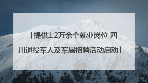 提供1.2万余个就业岗位 四川退役军人及军属招聘活动启动