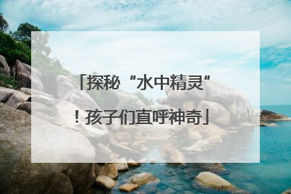 探秘“水中精灵”！孩子们直呼神奇