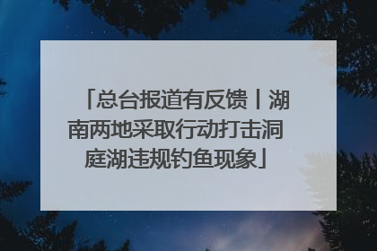 总台报道有反馈丨湖南两地采取行动打击洞庭湖违规钓鱼现象