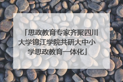 思政教育专家齐聚四川大学锦江学院共研大中小学思政教育一体化