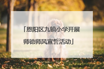 恩阳区九镇小学开展师德师风宣誓活动