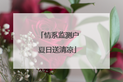 情系监测户 夏日送清凉