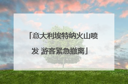 意大利埃特纳火山喷发 游客紧急撤离