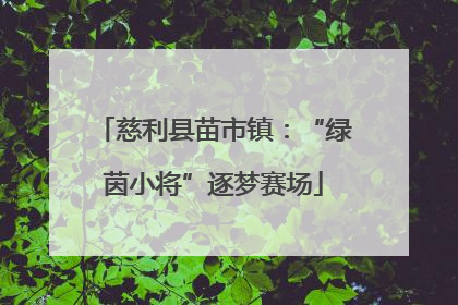 慈利县苗市镇：“绿茵小将”逐梦赛场