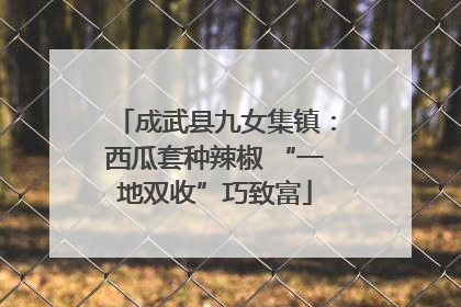 成武县九女集镇：西瓜套种辣椒 “一地双收”巧致富