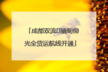 成都双流⇌缅甸仰光全货运航线开通