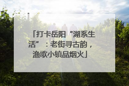 打卡岳阳“湖系生活”：老街寻古韵，渔歌小镇品烟火