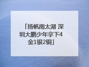 扬帆南太湖 深圳大鹏少年拿下4金1银2铜