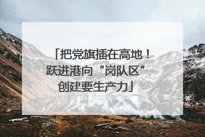 把党旗插在高地！跃进港向“岗队区”创建要生产力