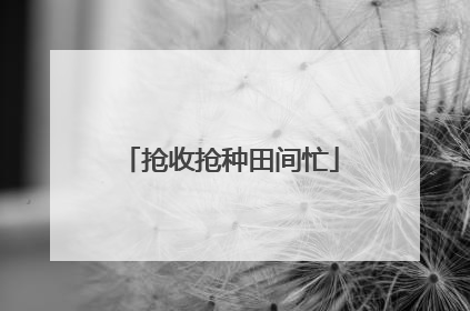 抢收抢种田间忙