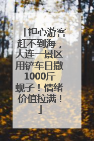 担心游客赶不到海，大连一景区用铲车日撒1000斤蚬子！情绪价值拉满！