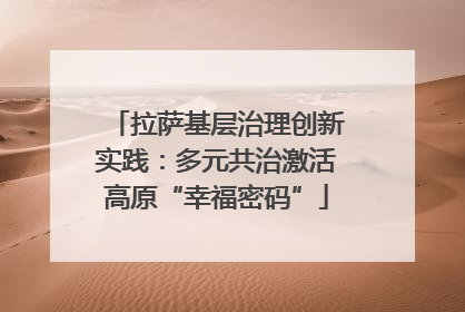 拉萨基层治理创新实践：多元共治激活高原“幸福密码”