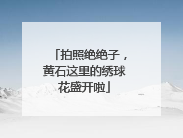 拍照绝绝子，黄石这里的绣球花盛开啦