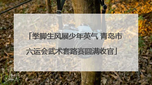 拳脚生风展少年英气 青岛市六运会武术套路赛圆满收官