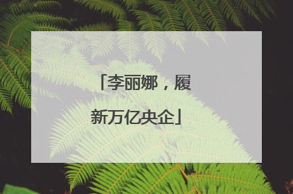 李丽娜，履新万亿央企