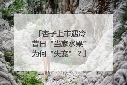 杏子上市遇冷 昔日“当家水果”为何“失宠”？