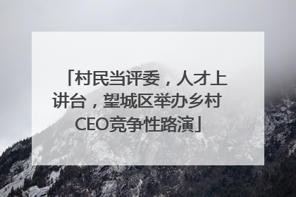村民当评委,人才上讲台,望城区举办乡村CEO竞争性路演