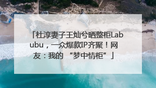 杜淳妻子王灿兮晒整柜Labubu，一众爆款IP齐聚！网友：我的 “梦中情柜”