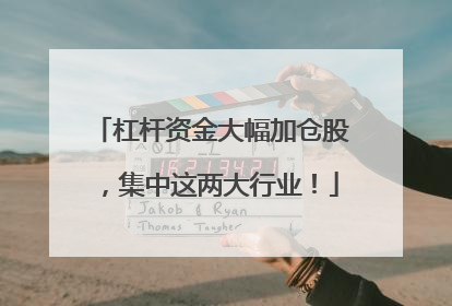 杠杆资金大幅加仓股，集中这两大行业！