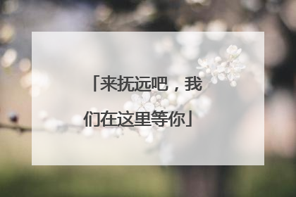 来抚远吧，我们在这里等你