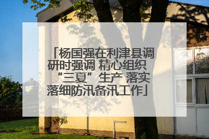 杨国强在利津县调研时强调 精心组织“三夏”生产 落实落细防汛备汛工作