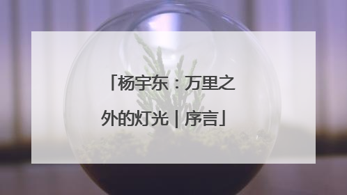 杨宇东：万里之外的灯光｜序言